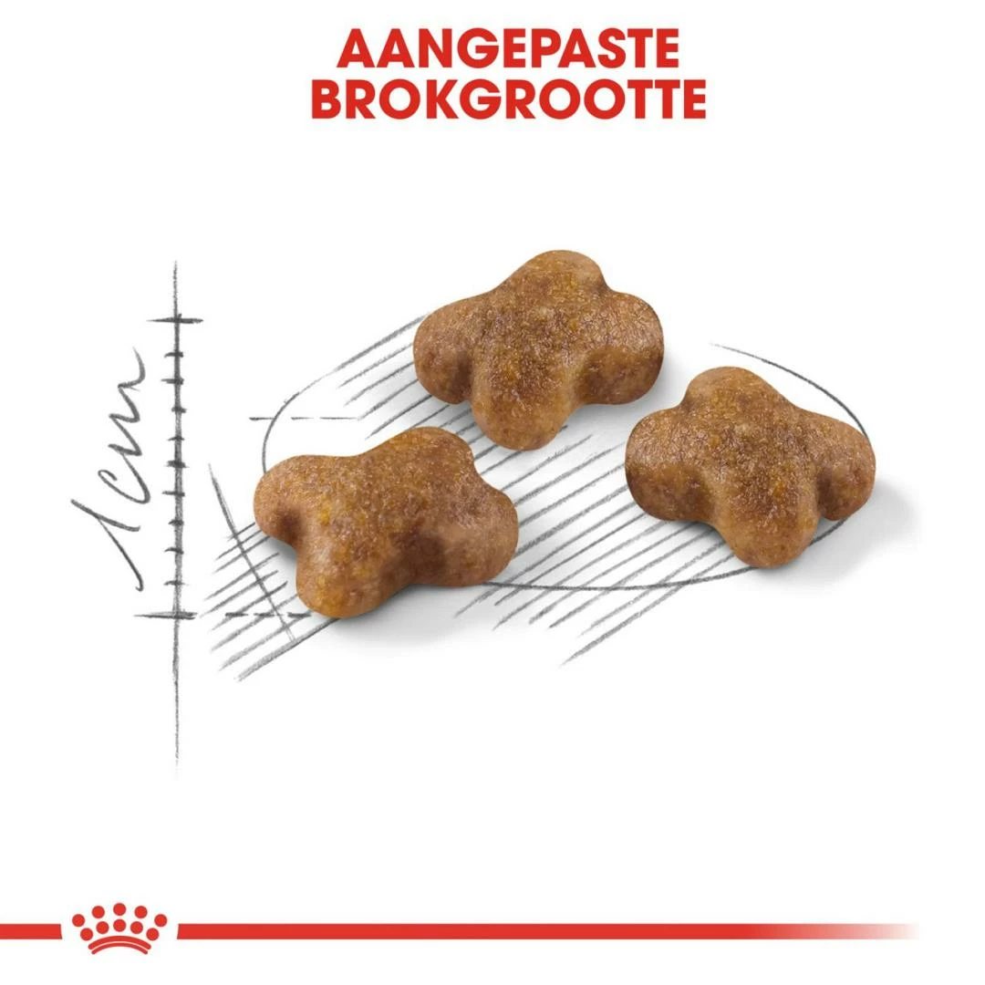 Royal Canin Kattenvoer Kitten 4 Kg 4 Royal Canin Kattenvoer Kitten 4 Kg - Afbeelding 2