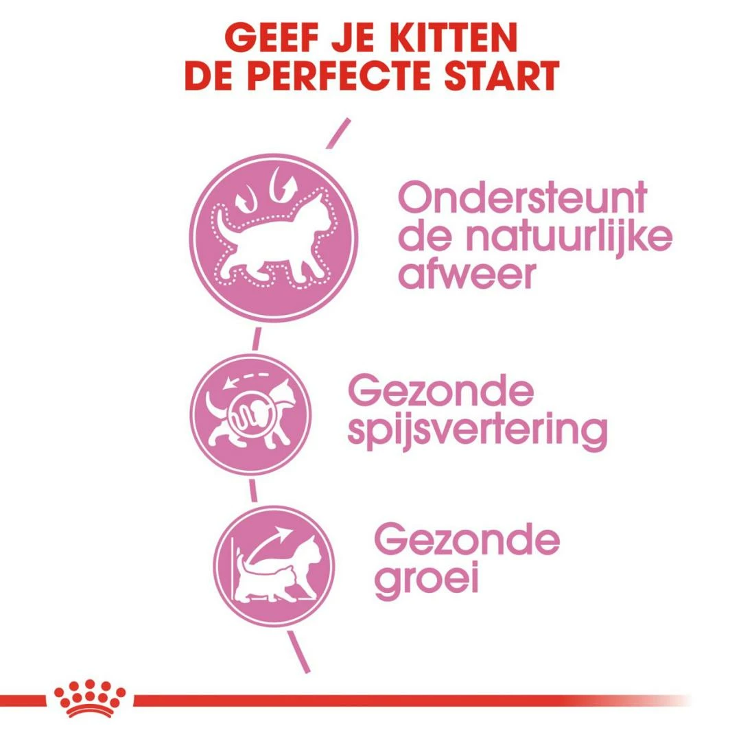 Royal Canin Kattenvoer Kitten 2 Kg 5 Royal Canin Kattenvoer Kitten 2 Kg - Afbeelding 3