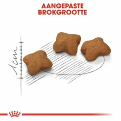 Royal Canin Kattenvoer Kitten Sterilised 2 Kg -Beeztees Verkoop 2024 royal canin kitten sterilised kitten kat castratie sterilisatie hero kibble