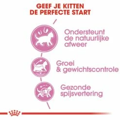 Royal Canin Kattenvoer Kitten Sterilised 3,5 Kg 7 Royal Canin Kattenvoer Kitten Sterilised 3,5 Kg -Beeztees Verkoop 2024 royal canin kitten sterilised kitten kat castratie sterilisatie hero usp 1