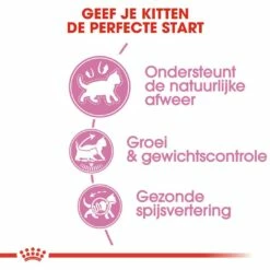 Royal Canin Kattenvoer Kitten Sterilised 2 Kg -Beeztees Verkoop 2024 royal canin kitten sterilised kitten kat castratie sterilisatie hero usp