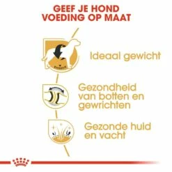 Royal Canin Hondenvoer Labrador Retriever Adult 12 Kg -Beeztees Verkoop 2024 royal canin labrador retriever adult volwassen hond labrador retriever vanaf 15 maanden hero usp