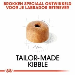 Royal Canin Hondenvoer Labrador Retriever Puppy 12 Kg -Beeztees Verkoop 2024 royal canin labrador retriever junior pup hond labrador retriever hero kibble