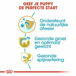 Royal Canin Hondenvoer Labrador Retriever Puppy 12 Kg -Beeztees Verkoop 2024 royal canin labrador retriever junior pup hond labrador retriever hero usp