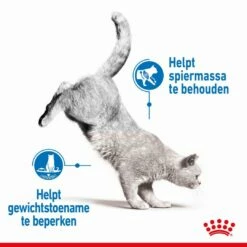 Royal Canin Kattenvoer Light Weight Care 1,5 Kg 8 Royal Canin Kattenvoer Light Weight Care 1,5 Kg -Beeztees Verkoop 2024 royal canin light weight care volwassen kat preventie overgewicht hero image 8