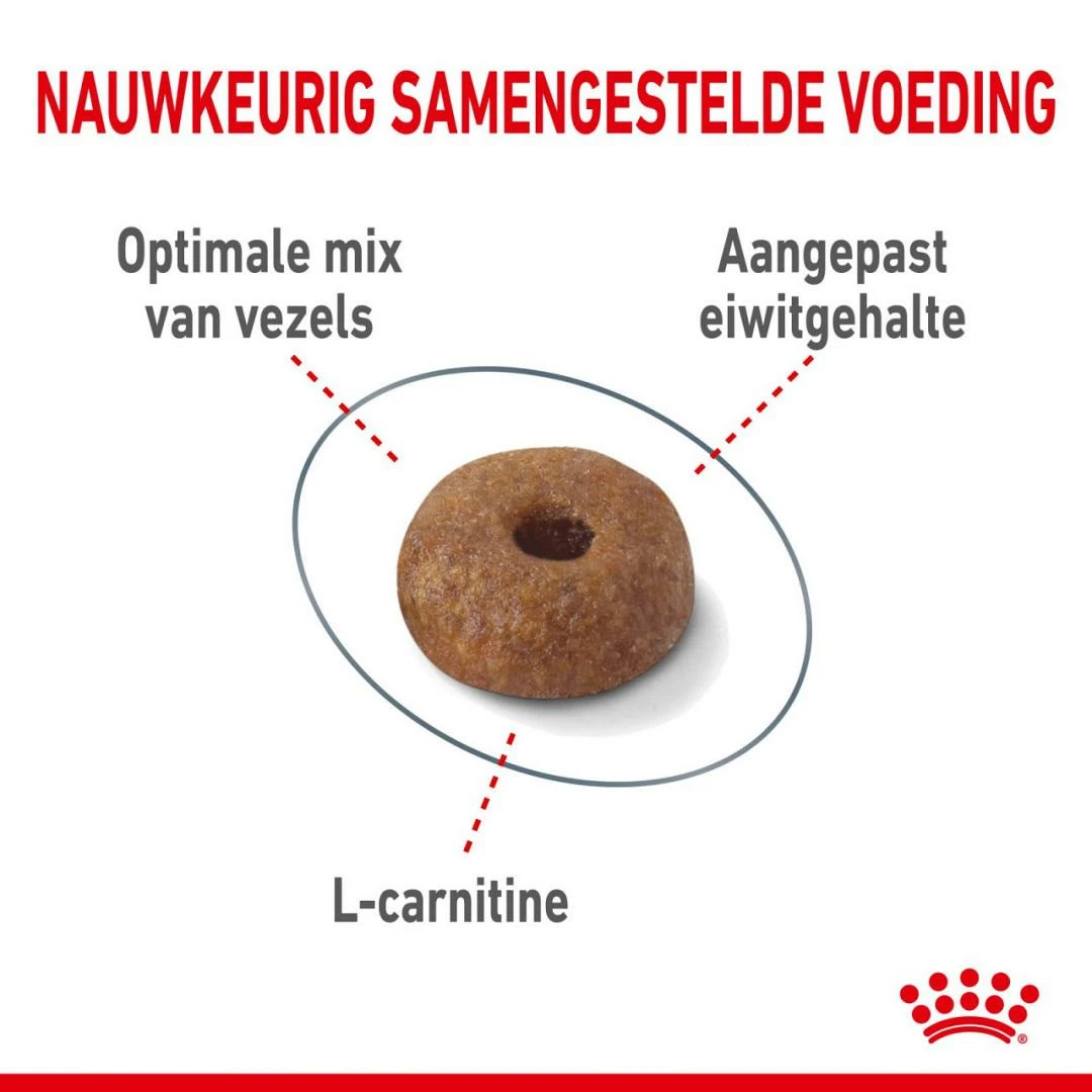 Royal Canin Kattenvoer Light Weight Care 1,5 Kg 4 Royal Canin Kattenvoer Light Weight Care 1,5 Kg - Afbeelding 2