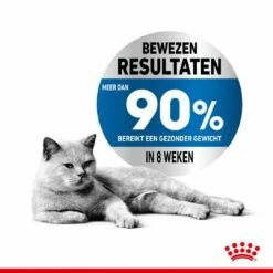 Royal Canin Kattenvoer Light Weight Care 1,5 Kg 9 Royal Canin Kattenvoer Light Weight Care 1,5 Kg -Beeztees Verkoop 2024 royal canin light weight care volwassen kat preventie overgewicht hero usp