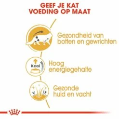 Royal Canin Kattenvoer Maine Coon Adult 12 X 85 Gr 9 Royal Canin Kattenvoer Maine Coon Adult 12 X 85 Gr -Beeztees Verkoop 2024 royal canin maine coon adult natvoer volwassen kat maine coon van 15 maanden tot 12 jaar hero usp