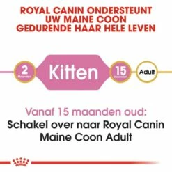 Royal Canin Kattenvoer Maine Coon Kitten 2 Kg 9 Royal Canin Kattenvoer Maine Coon Kitten 2 Kg -Beeztees Verkoop 2024 royal canin maine coon kitten kitten kat maine coon hero image 8