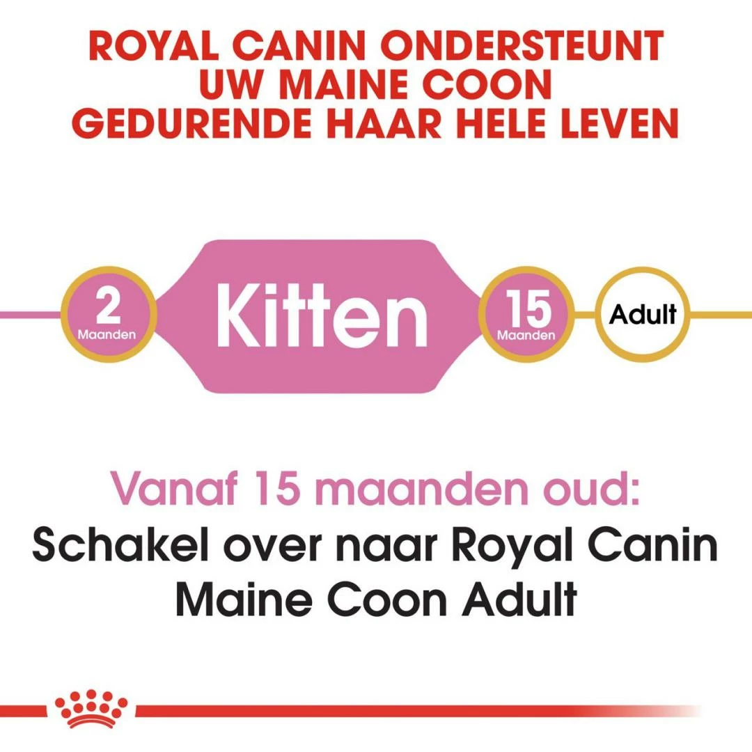 Royal Canin Kattenvoer Maine Coon Kitten 2 Kg 6 Royal Canin Kattenvoer Maine Coon Kitten 2 Kg - Afbeelding 4