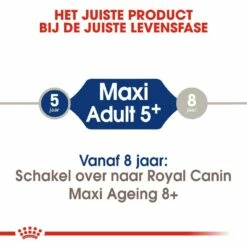 Royal Canin Hondenvoer Maxi Adult 5+ 15 Kg 9 Royal Canin Hondenvoer Maxi Adult 5+ 15 Kg -Beeztees Verkoop 2024 royal canin maxi adult 5plus volwassen hond grote hondenrassen vanaf 5 jaar hero image 9 1