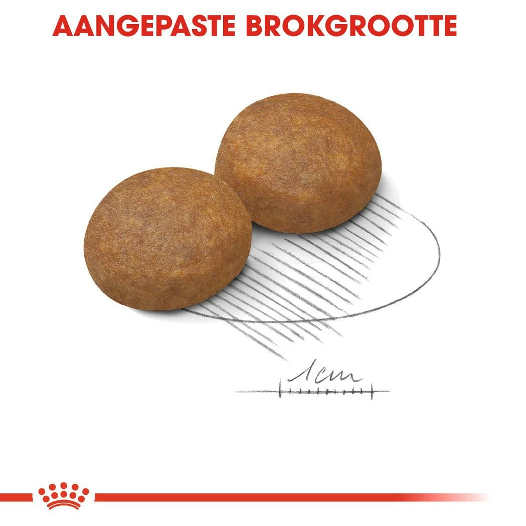 Royal Canin Hondenvoer Maxi Adult 5+ 15 Kg 4 Royal Canin Hondenvoer Maxi Adult 5+ 15 Kg - Afbeelding 2