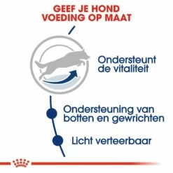 Royal Canin Hondenvoer Maxi Adult 5+ 4 Kg -Beeztees Verkoop 2024 royal canin maxi adult 5plus volwassen hond grote hondenrassen vanaf 5 jaar hero usp