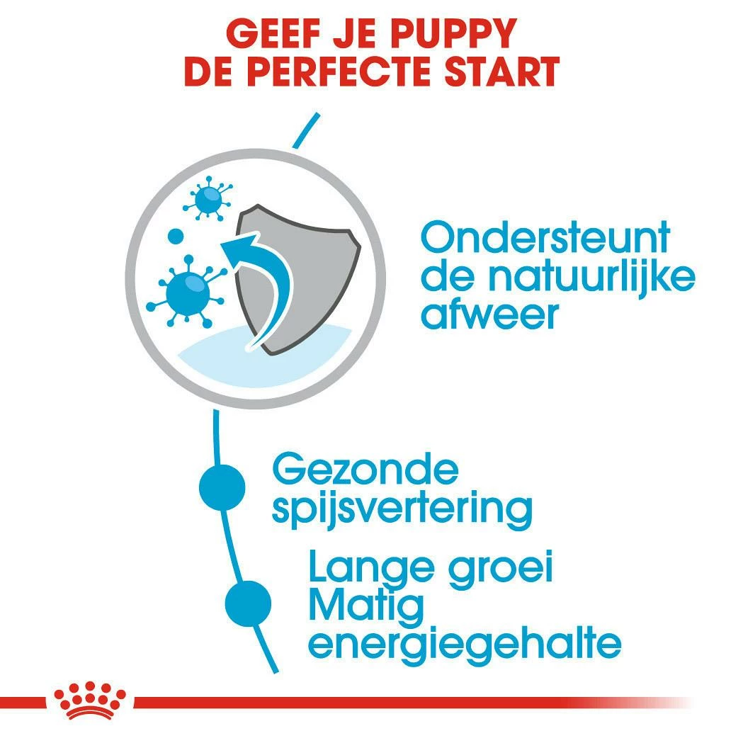 Royal Canin Hondenvoer Maxi Puppy 10 X 140 Gr 6 Royal Canin Hondenvoer Maxi Puppy 10 X 140 Gr - Afbeelding 4