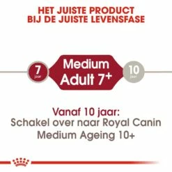 Royal Canin Hondenvoer Medium Adult 7+ 4 Kg 9 Royal Canin Hondenvoer Medium Adult 7+ 4 Kg -Beeztees Verkoop 2024 royal canin medium adult 7plus volwassen hond middelgrote hondenrassen vanaf 7 jaar hero image 9 1
