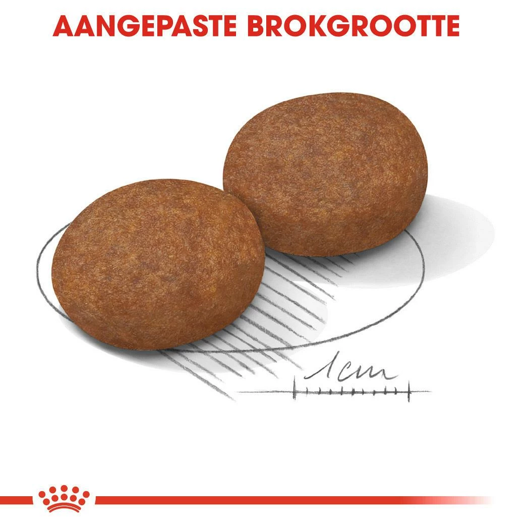 Royal Canin Hondenvoer Medium Adult 7+ 4 Kg 4 Royal Canin Hondenvoer Medium Adult 7+ 4 Kg - Afbeelding 2