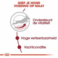 Royal Canin Hondenvoer Medium Adult 7+ 4 Kg 8 Royal Canin Hondenvoer Medium Adult 7+ 4 Kg -Beeztees Verkoop 2024 royal canin medium adult 7plus volwassen hond middelgrote hondenrassen vanaf 7 jaar hero usp 1