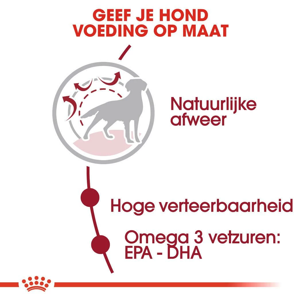 Royal Canin Hondenvoer Medium Adult 15 Kg 5 Royal Canin Hondenvoer Medium Adult 15 Kg - Afbeelding 3