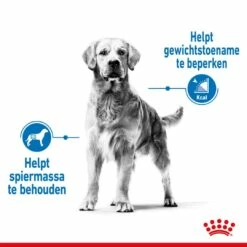 Royal Canin Hondenvoer Light Weight Care Medium 3 Kg -Beeztees Verkoop 2024 royal canin medium light weight care volwassen hond gewicht middelgrote hondenrassen hero image 8