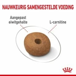 Royal Canin Hondenvoer Light Weight Care Medium 3 Kg -Beeztees Verkoop 2024 royal canin medium light weight care volwassen hond gewicht middelgrote hondenrassen hero kibble