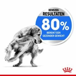 Royal Canin Hondenvoer Light Weight Care Medium 3 Kg -Beeztees Verkoop 2024 royal canin medium light weight care volwassen hond gewicht middelgrote hondenrassen hero usp