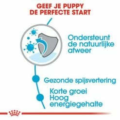 Royal Canin Hondenvoer Medium Puppy 4 Kg -Beeztees Verkoop 2024 royal canin medium puppy pup hond middelgrote hondenrassen hero usp