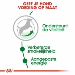 Royal Canin Hondenvoer Mini Adult 8+ 4 Kg -Beeztees Verkoop 2024 royal canin mini adult 8plus volwassen hond kleine hondenrassen vanaf 8 jaar hero usp 1