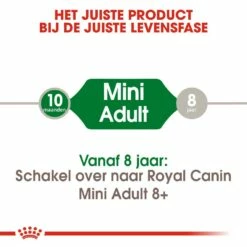 Royal Canin Hondenvoer Mini Adult 8 Kg 9 Royal Canin Hondenvoer Mini Adult 8 Kg -Beeztees Verkoop 2024 royal canin mini adult volwassen hond kleine hondenrassen hero image 9 1