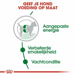 Royal Canin Hondenvoer Mini Adult 4 Kg 8 Royal Canin Hondenvoer Mini Adult 4 Kg -Beeztees Verkoop 2024 royal canin mini adult volwassen hond kleine hondenrassen hero usp 2