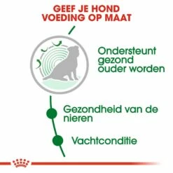 Royal Canin Hondenvoer Mini Ageing 12+ 1,5 Kg 7 Royal Canin Hondenvoer Mini Ageing 12+ 1,5 Kg -Beeztees Verkoop 2024 royal canin mini ageing 12plus senior hond oudere hond vanaf 12 jaar hero usp