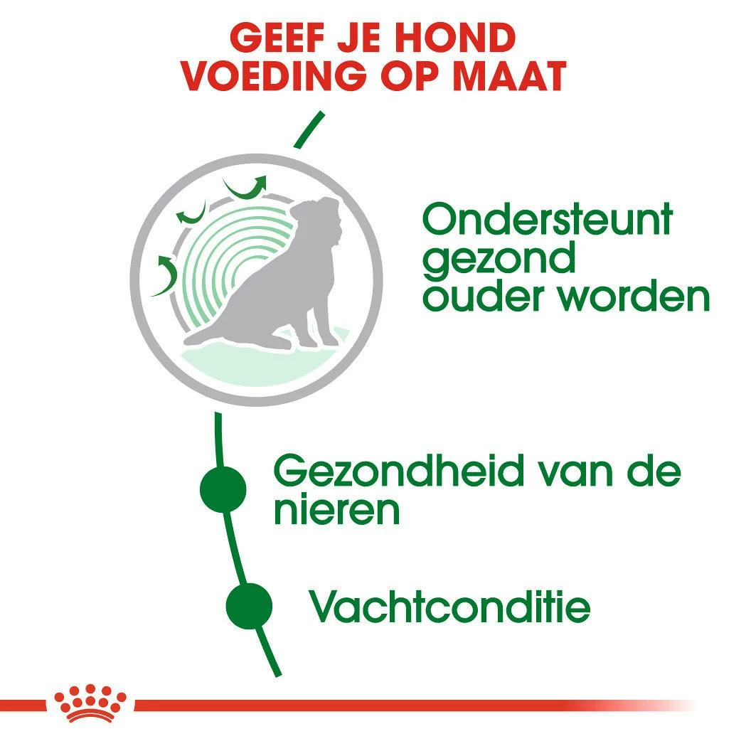 Royal Canin Hondenvoer Mini Ageing 12+ 1,5 Kg 5 Royal Canin Hondenvoer Mini Ageing 12+ 1,5 Kg - Afbeelding 3