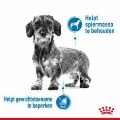 Royal Canin Hondenvoer Light Weight Care Mini 3 Kg -Beeztees Verkoop 2024 royal canin mini light weight care volwassen hond gezond gewicht kleine hondenrassen hero image 8