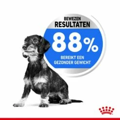 Royal Canin Hondenvoer Light Weight Care Mini 3 Kg -Beeztees Verkoop 2024 royal canin mini light weight care volwassen hond gezond gewicht kleine hondenrassen hero usp
