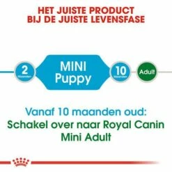 Royal Canin Hondenvoer Mini Puppy 2 Kg 9 Royal Canin Hondenvoer Mini Puppy 2 Kg -Beeztees Verkoop 2024 royal canin mini puppy pup hond kleine hondenrassen hero image 8 1