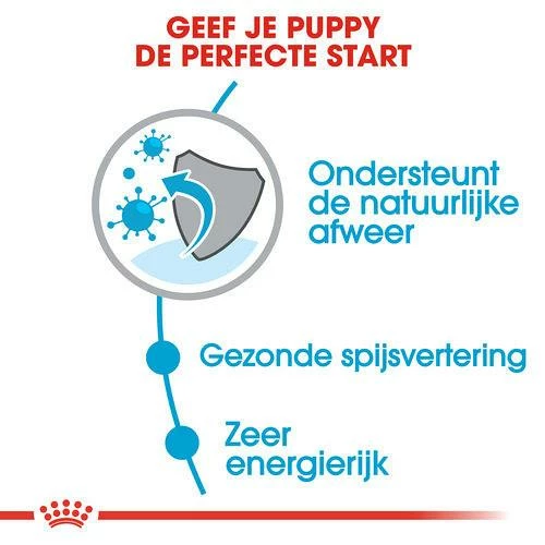 Royal Canin Hondenvoer Mini Puppy 2 Kg 5 Royal Canin Hondenvoer Mini Puppy 2 Kg - Afbeelding 3