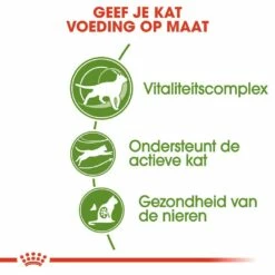 Royal Canin Kattenvoer Outdoor 7+ 2 Kg -Beeztees Verkoop 2024 royal canin outdoor 7plus volwassen kat buitenkatten vanaf 7 jaar hero usp