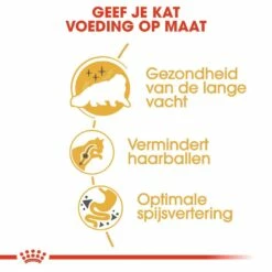 Royal Canin Kattenvoer Persian Adult 4 Kg 7 Royal Canin Kattenvoer Persian Adult 4 Kg -Beeztees Verkoop 2024 royal canin persian adult volwassen kat pers van 1 tot 12 jaar hero usp 1