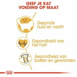 Royal Canin Kattenvoer Ragdoll Adult 2 Kg 7 Royal Canin Kattenvoer Ragdoll Adult 2 Kg -Beeztees Verkoop 2024 royal canin ragdoll adult volwassen kat ragdoll van 1 tot 12 jaar hero usp
