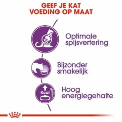 Royal Canin Kattenvoer Sensible 33 2 Kg -Beeztees Verkoop 2024 royal canin sensible 33 volwassen kat ondersteuning spijsvertering hero usp 2