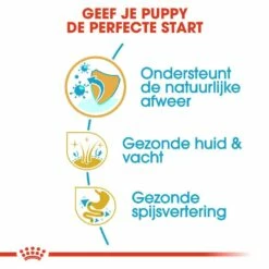 Royal Canin Hondenvoer Shih Tzu Puppy 1,5 Kg 8 Royal Canin Hondenvoer Shih Tzu Puppy 1,5 Kg -Beeztees Verkoop 2024 royal canin shih tzu junior pup hond shih tzu hero usp