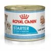 Royal Canin Hondenvoer Starter Mousse 12 X 195 Gr -Beeztees Verkoop 2024 royal canin starter mousse mother babydog pup hond natuurlijke afweer tijdens dracht