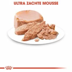 Royal Canin Hondenvoer Starter Mousse 12 X 195 Gr -Beeztees Verkoop 2024 royal canin starter mousse mother babydog pup hond natuurlijke afweer tijdens dracht hero kibble