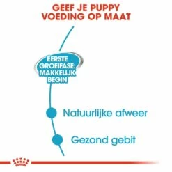 Royal Canin Hondenvoer Starter Mousse 12 X 195 Gr -Beeztees Verkoop 2024 royal canin starter mousse mother babydog pup hond natuurlijke afweer tijdens dracht hero usp