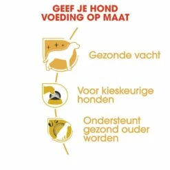 Royal Canin Hondenvoer Yorkshire Terrier Adult 1,5 Kg -Beeztees Verkoop 2024 royal canin yorkshire terrier adult volwassen hond yorkshire terrier vanaf 10 maanden hero usp