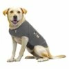 Thundershirt 2 Thundershirt -Beeztees Verkoop 2024 thundershirt met hond